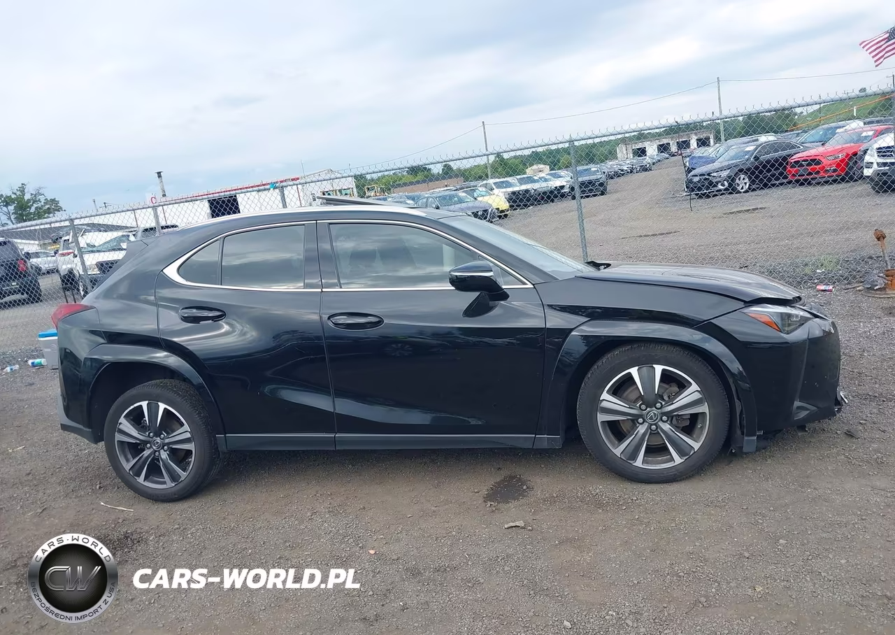 2023 Lexus Ux 250H Premium VIN:JTHP9JBH7P2064613 - 13