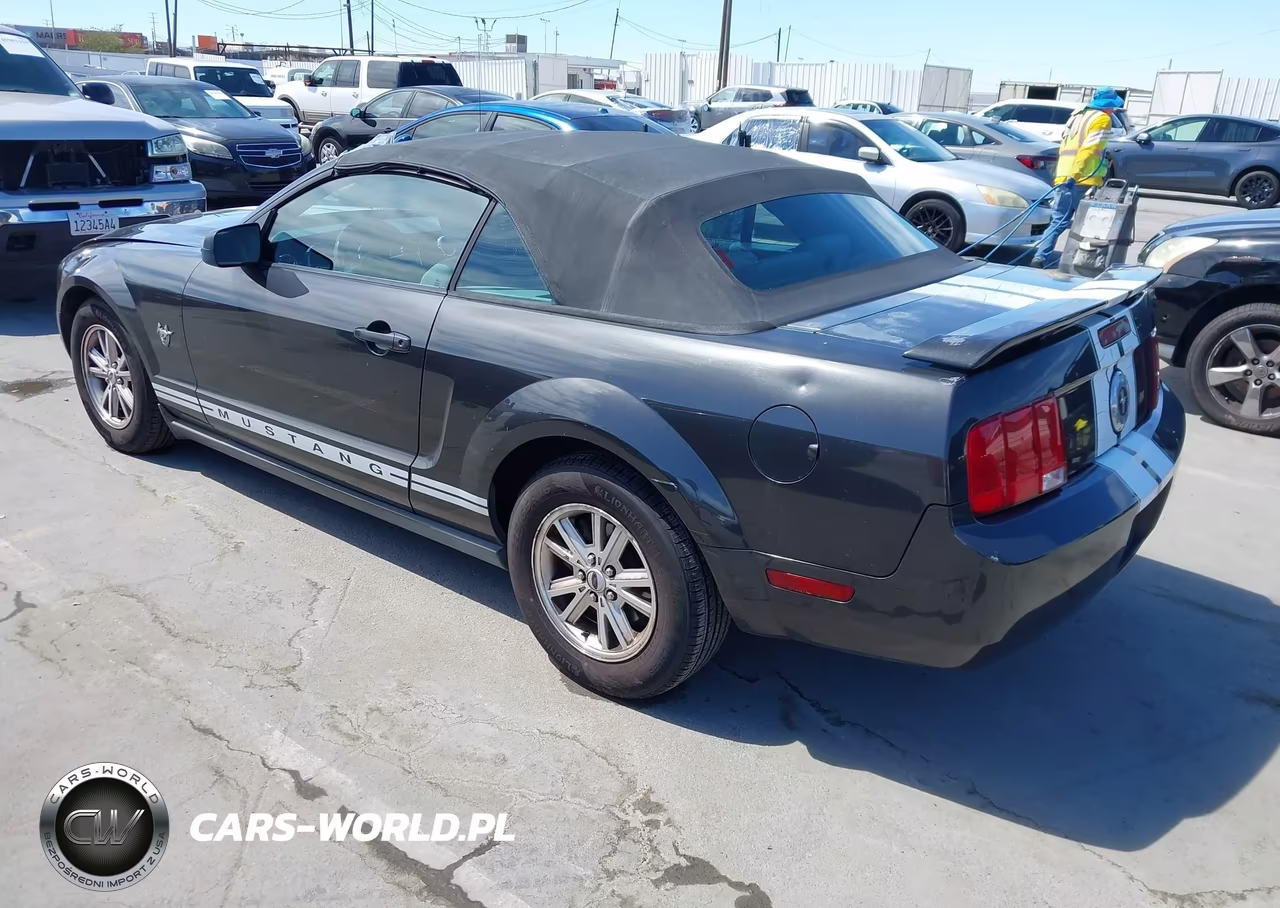 2009 Ford Mustang V6-V6 Premium VIN:1ZVHT84N595108223 - 3