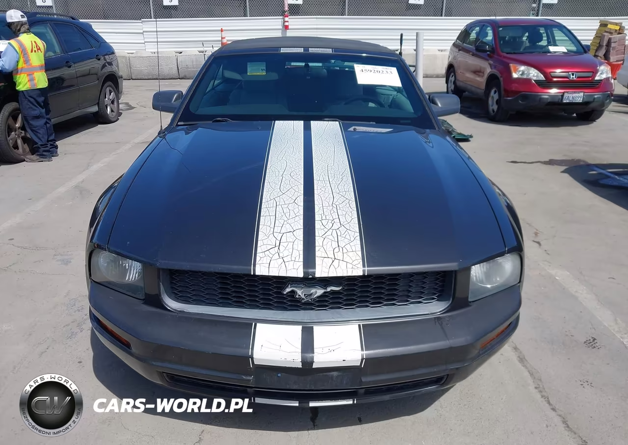 2009 Ford Mustang V6-V6 Premium VIN:1ZVHT84N595108223 - 6