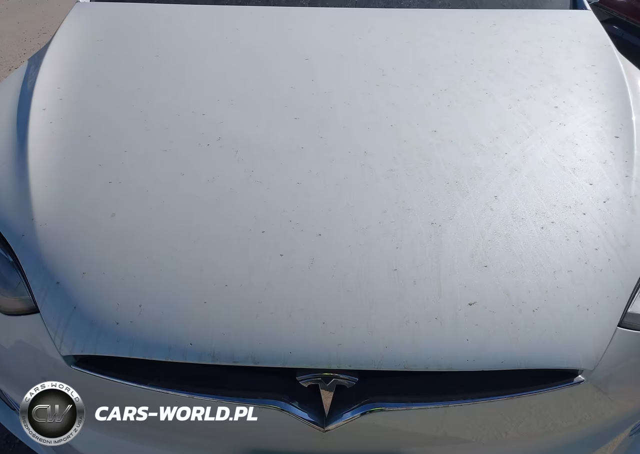 2019 Tesla Model X 100D-75D-Long Range VIN:5YJXCBE27KF185972 - 10