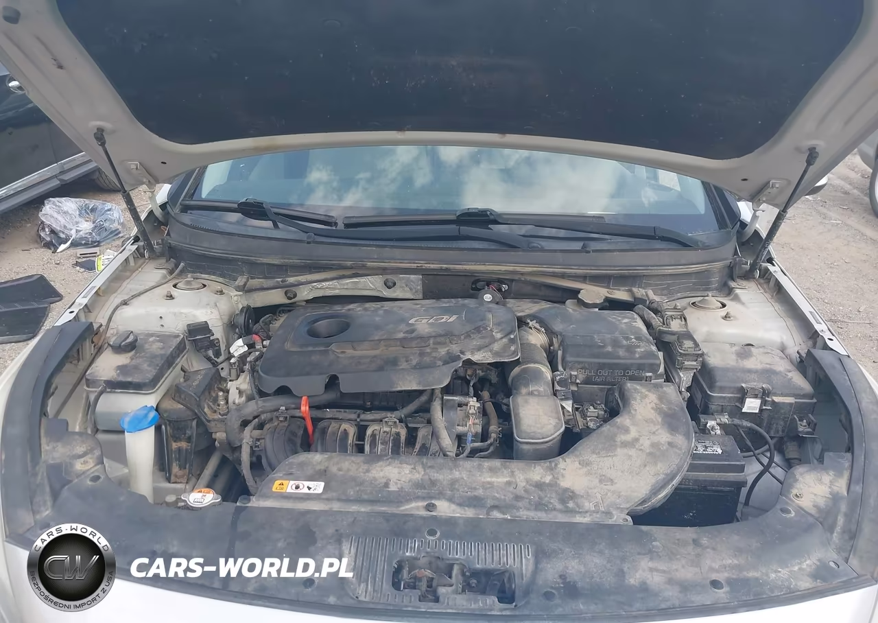 2016 Hyundai Sonata VIN:5NPE24AF1GH401158 - 10