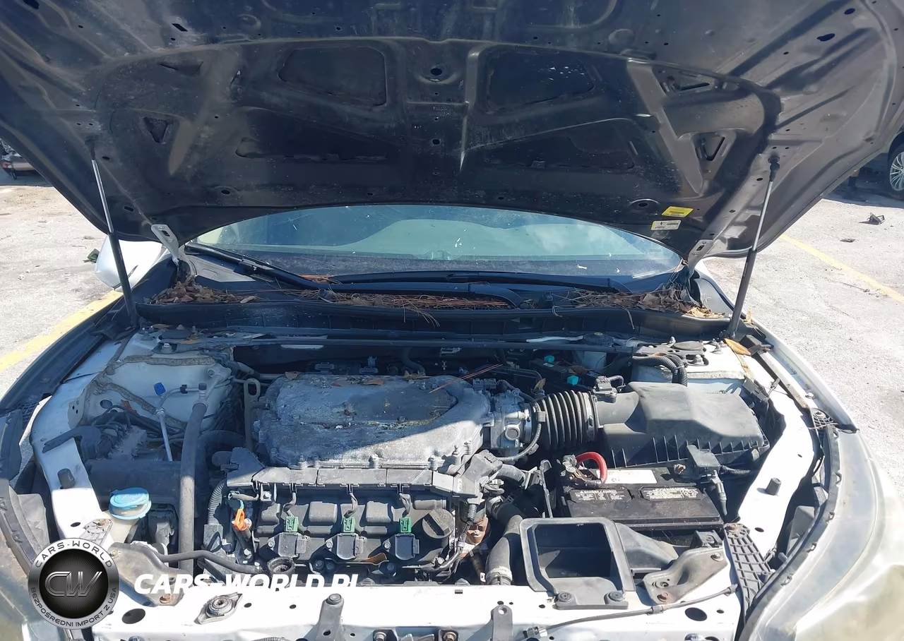 2015 Honda Accord Ex-L V-6 VIN:1HGCR3F81FA034602 - 10