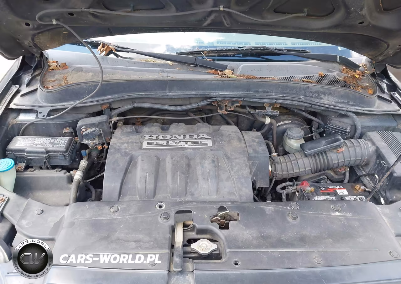2006 Honda Pilot Ex-L VIN:5FNYF28586B013716 - 10