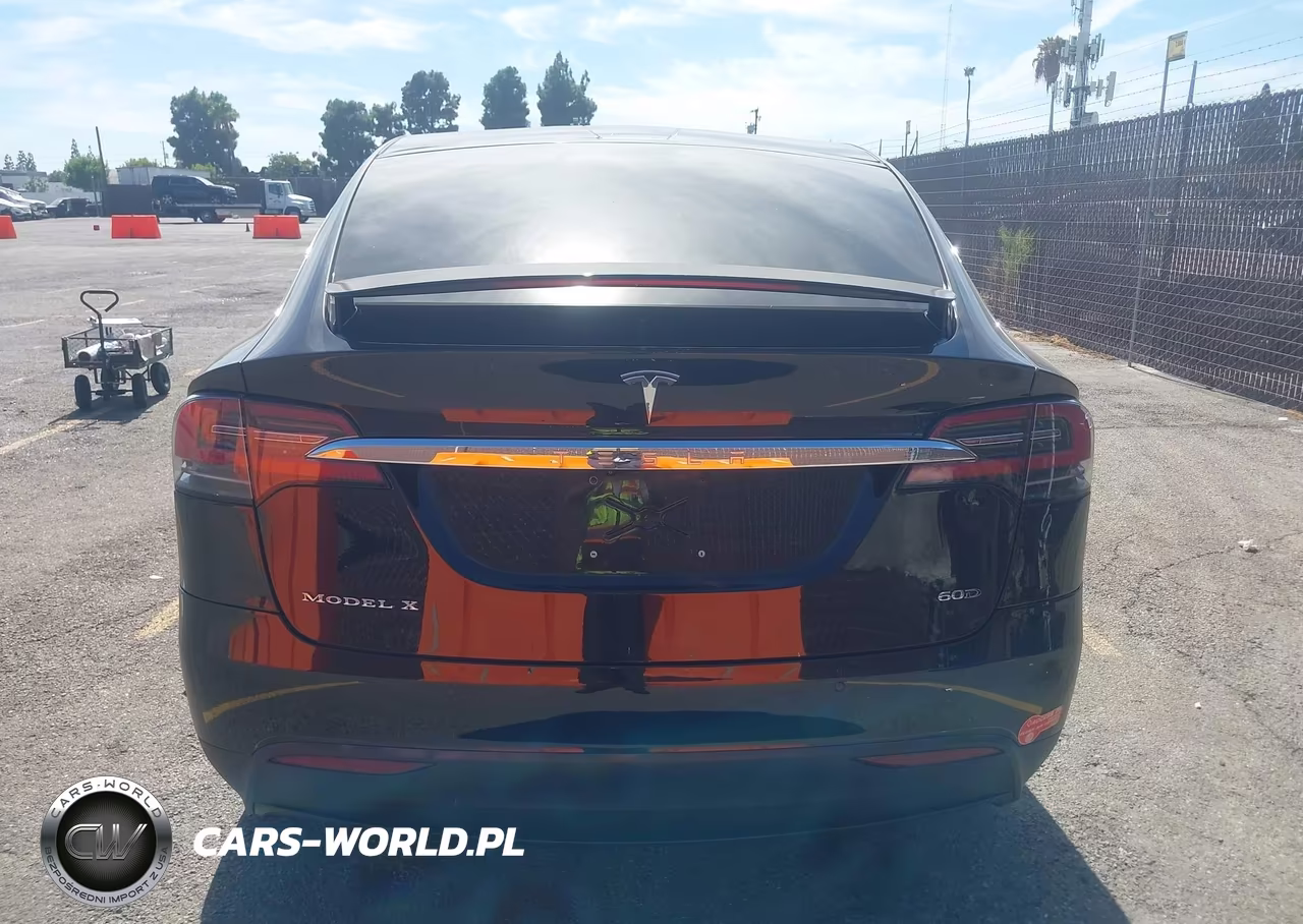 2016 Tesla Model X 60D-70D-75D-90D VIN:5YJXCDE22GF026263 - 16