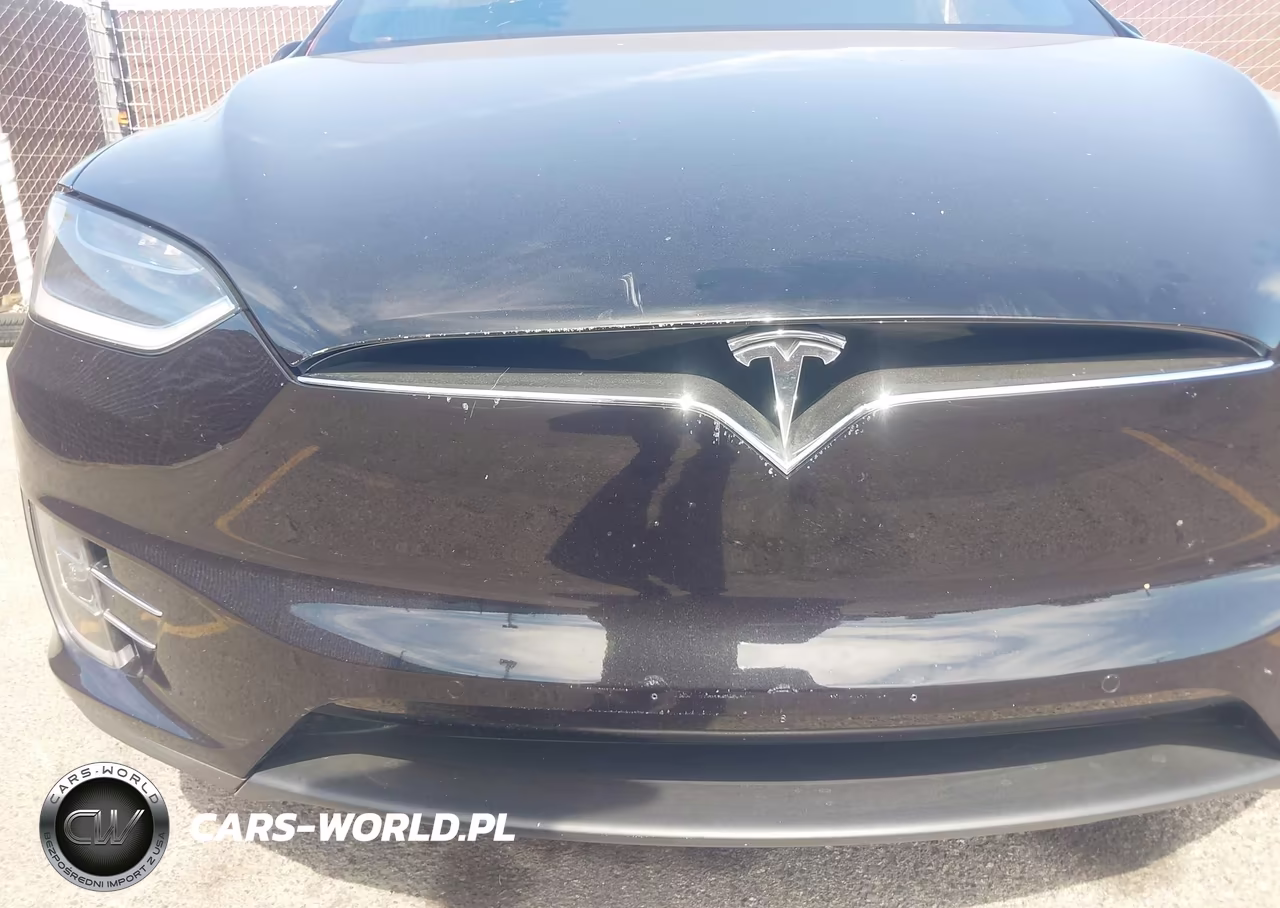 2016 Tesla Model X 60D-70D-75D-90D VIN:5YJXCDE22GF026263 - 19