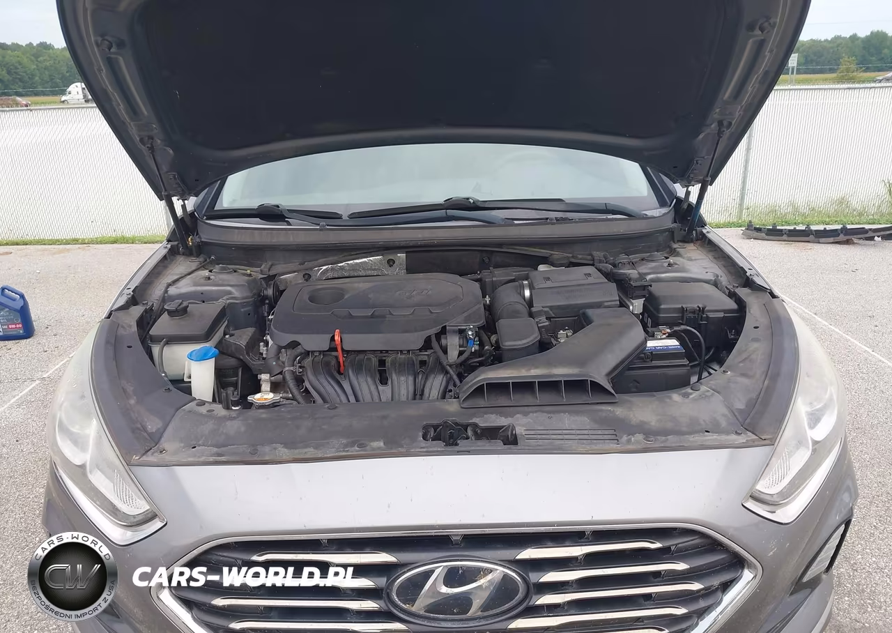 2019 Hyundai Sonata Se VIN:5NPE24AF4KH780701 - 10