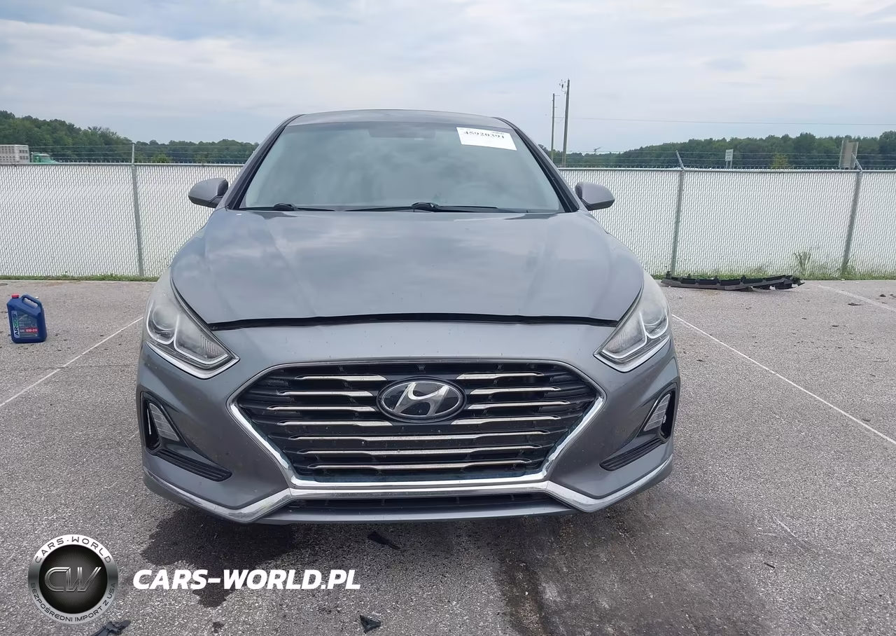 2019 Hyundai Sonata Se VIN:5NPE24AF4KH780701 - 12