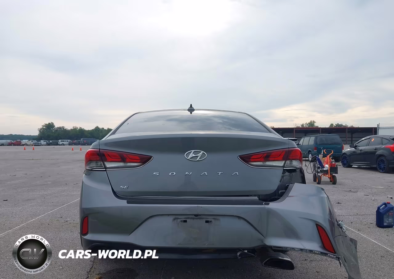 2019 Hyundai Sonata Se VIN:5NPE24AF4KH780701 - 16