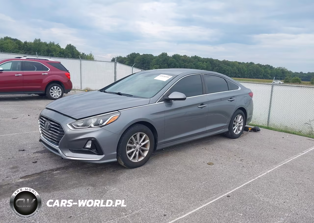 2019 Hyundai Sonata Se VIN:5NPE24AF4KH780701 - 2