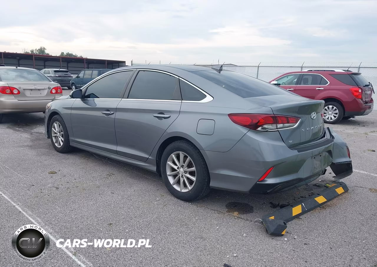 2019 Hyundai Sonata Se VIN:5NPE24AF4KH780701 - 3