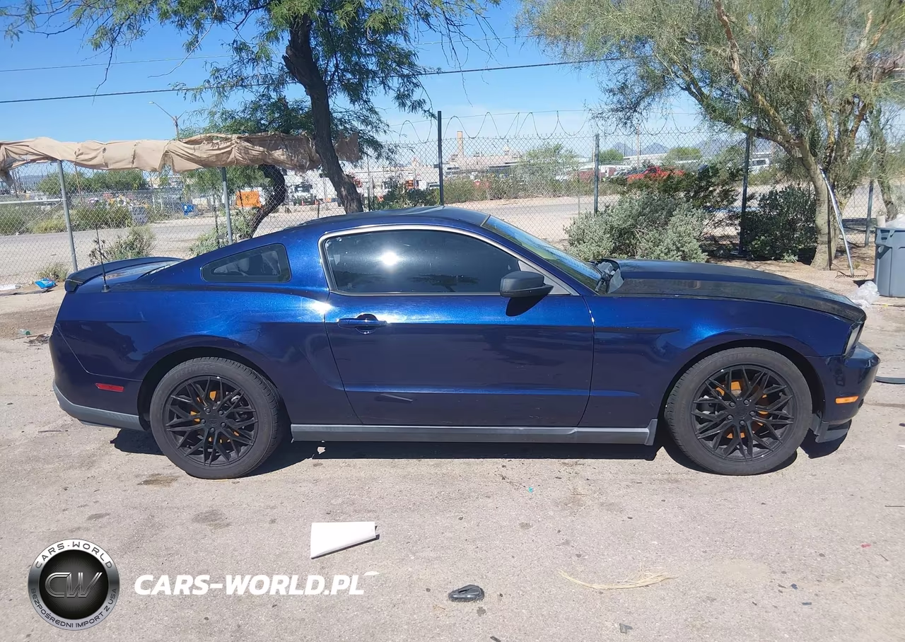 2011 Ford Mustang V6 VIN:1ZVBP8AM6B5169432 - 13