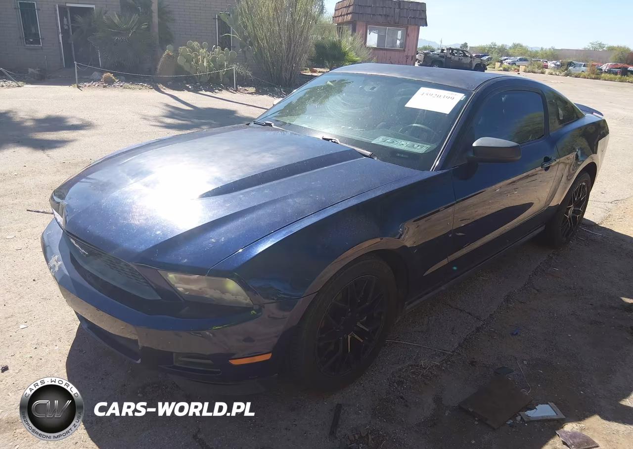 2011 Ford Mustang V6 VIN:1ZVBP8AM6B5169432 - 2