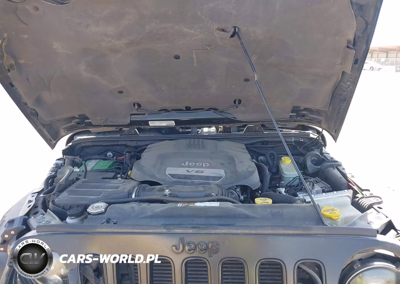 2014 Jeep Wrangler Unlimited Altitude VIN:1C4BJWEG9EL324679 - 10