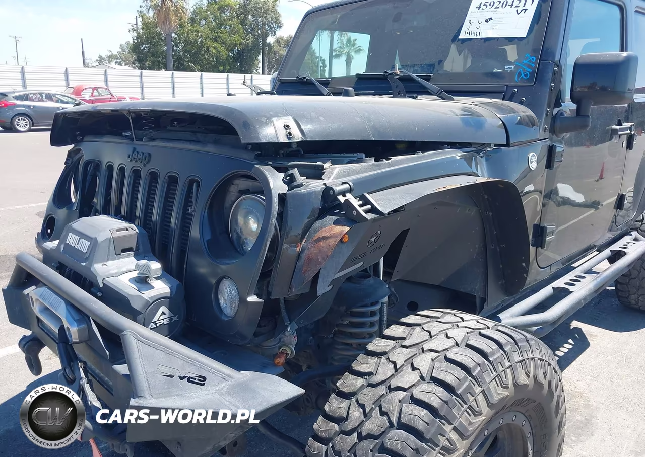 2014 Jeep Wrangler Unlimited Altitude VIN:1C4BJWEG9EL324679 - 12