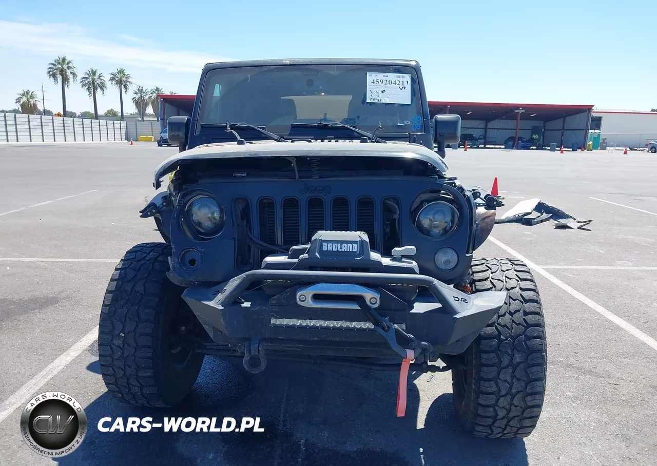2014 Jeep Wrangler Unlimited Altitude VIN:1C4BJWEG9EL324679 - 13