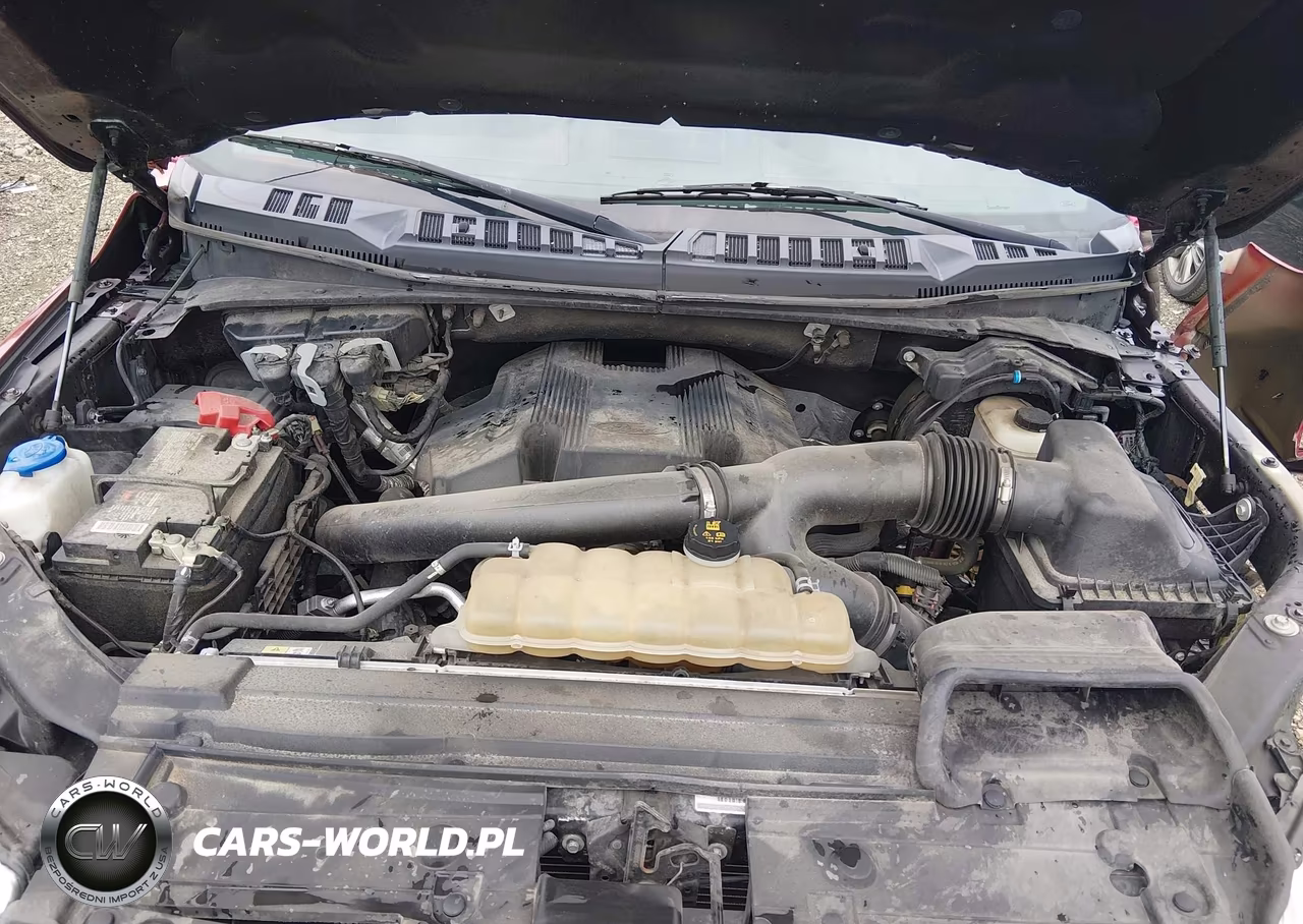 2020 Ford F-150 King Ranch VIN:1FTEW1E44LFA35034 - 10