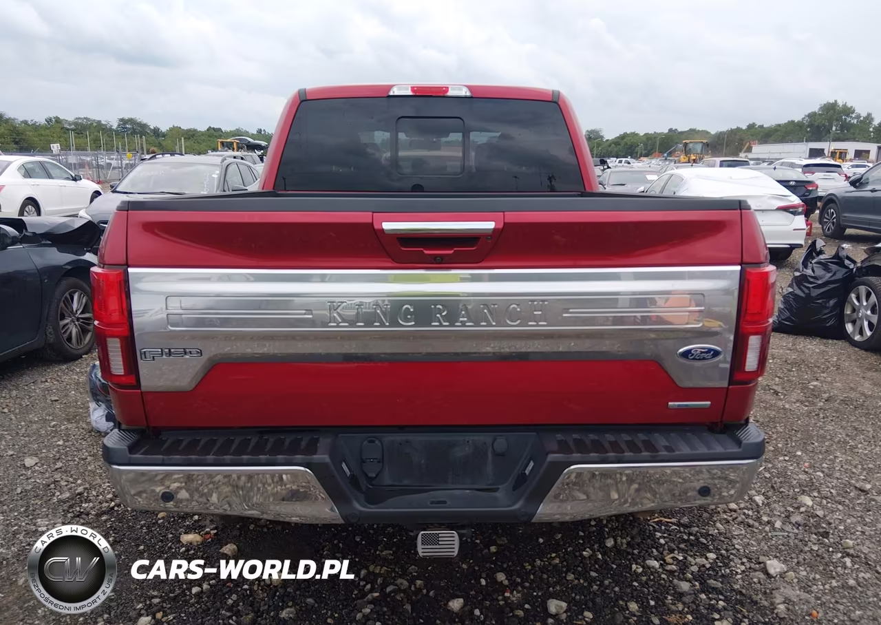 2020 Ford F-150 King Ranch VIN:1FTEW1E44LFA35034 - 16