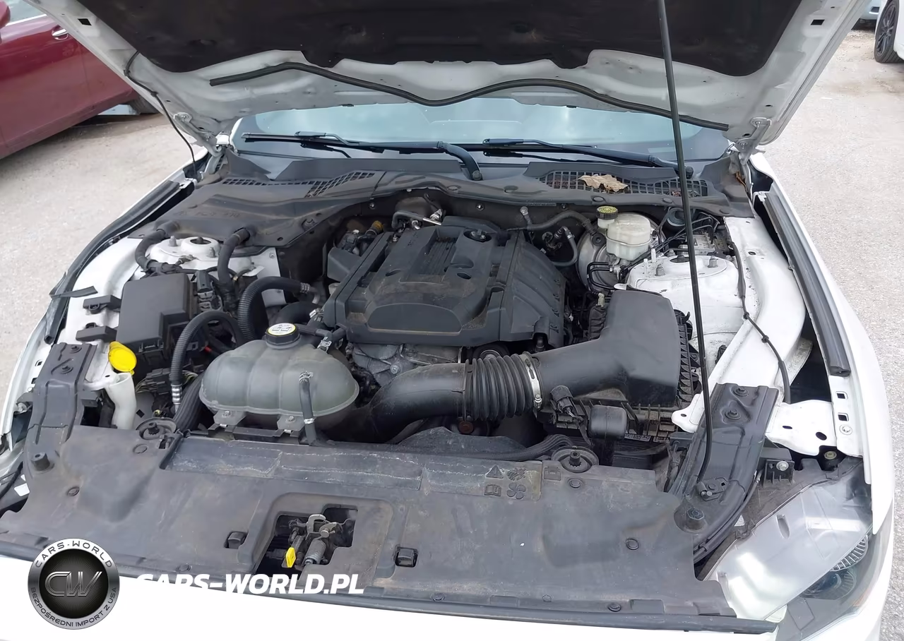 2018 Ford Mustang Ecoboost VIN:1FA6P8TH3J5163791 - 10