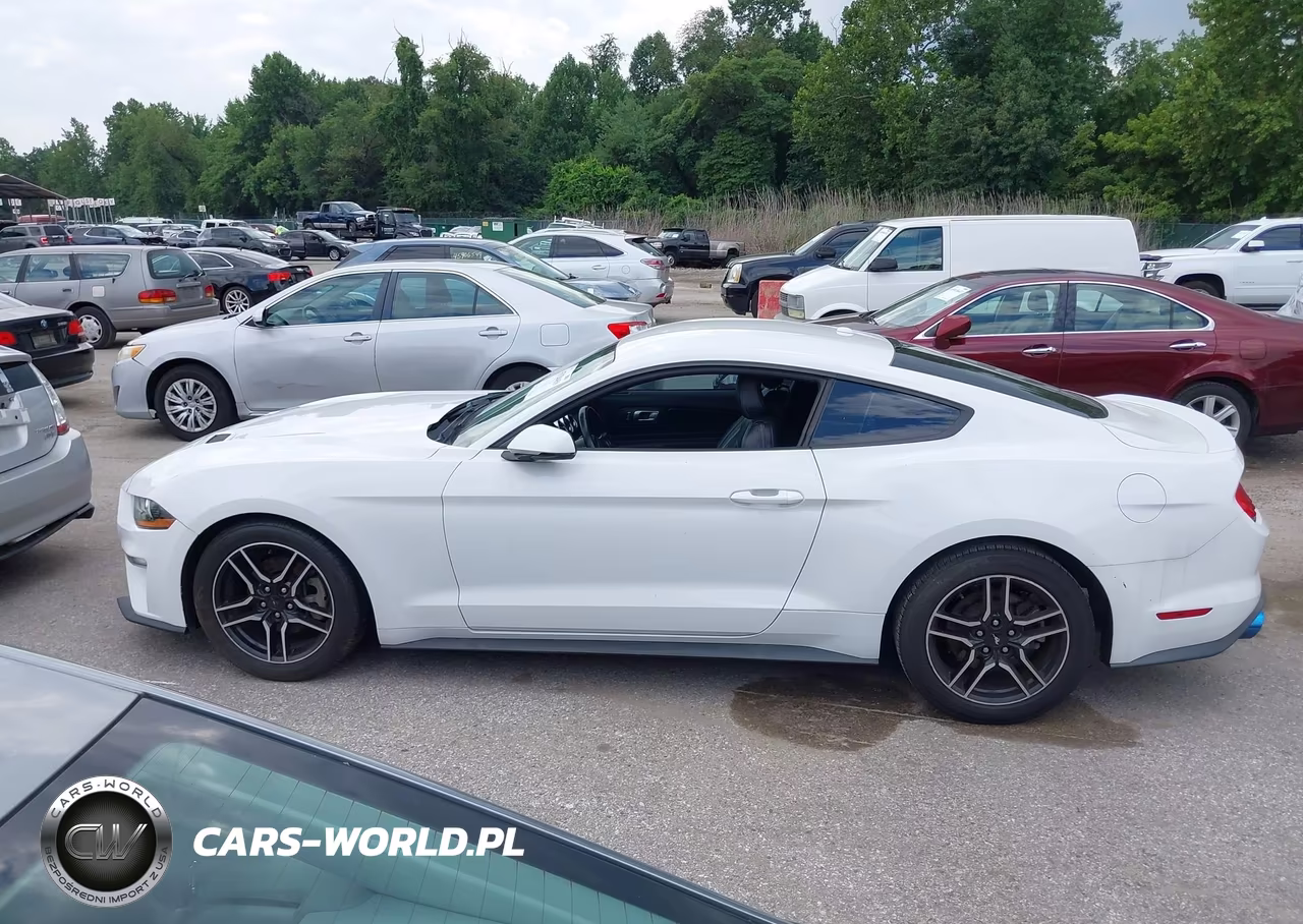 2018 Ford Mustang Ecoboost VIN:1FA6P8TH3J5163791 - 15