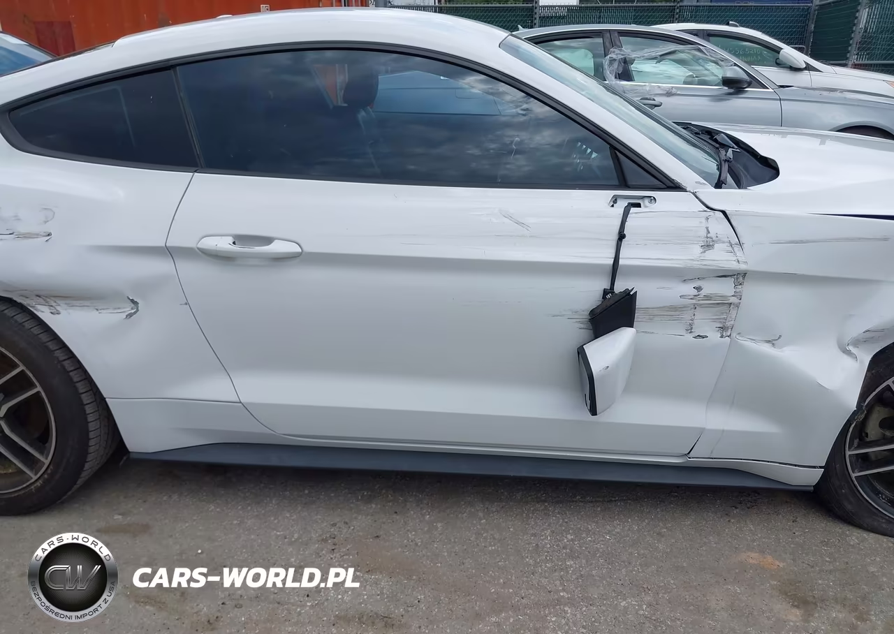 2018 Ford Mustang Ecoboost VIN:1FA6P8TH3J5163791 - 19