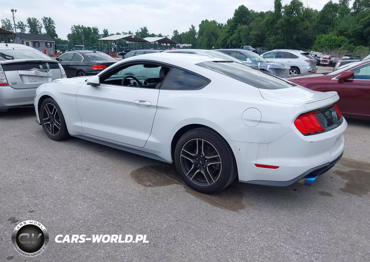 2018 Ford Mustang Ecoboost VIN:1FA6P8TH3J5163791 - 3