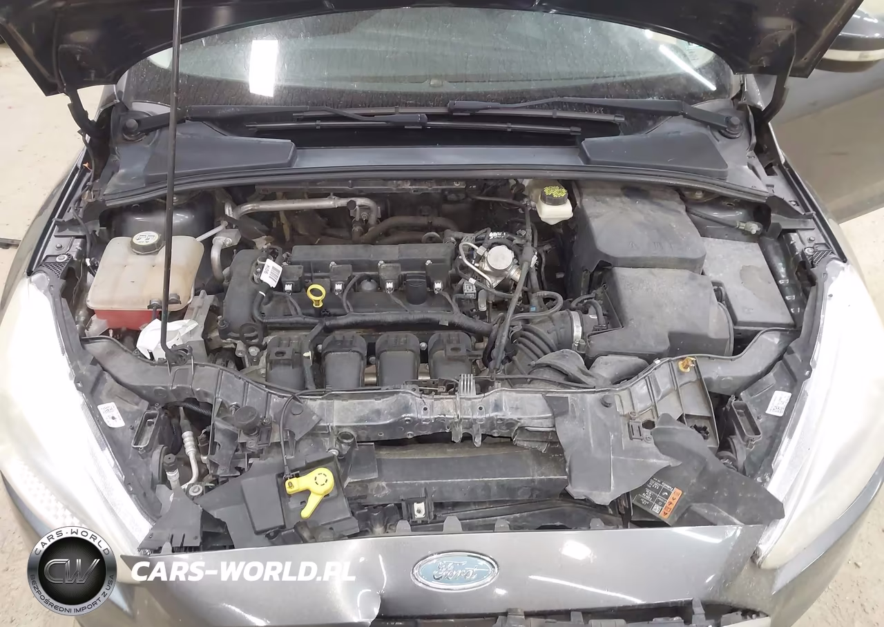 2017 Ford Focus Se VIN:1FADP3F20HL315453 - 10