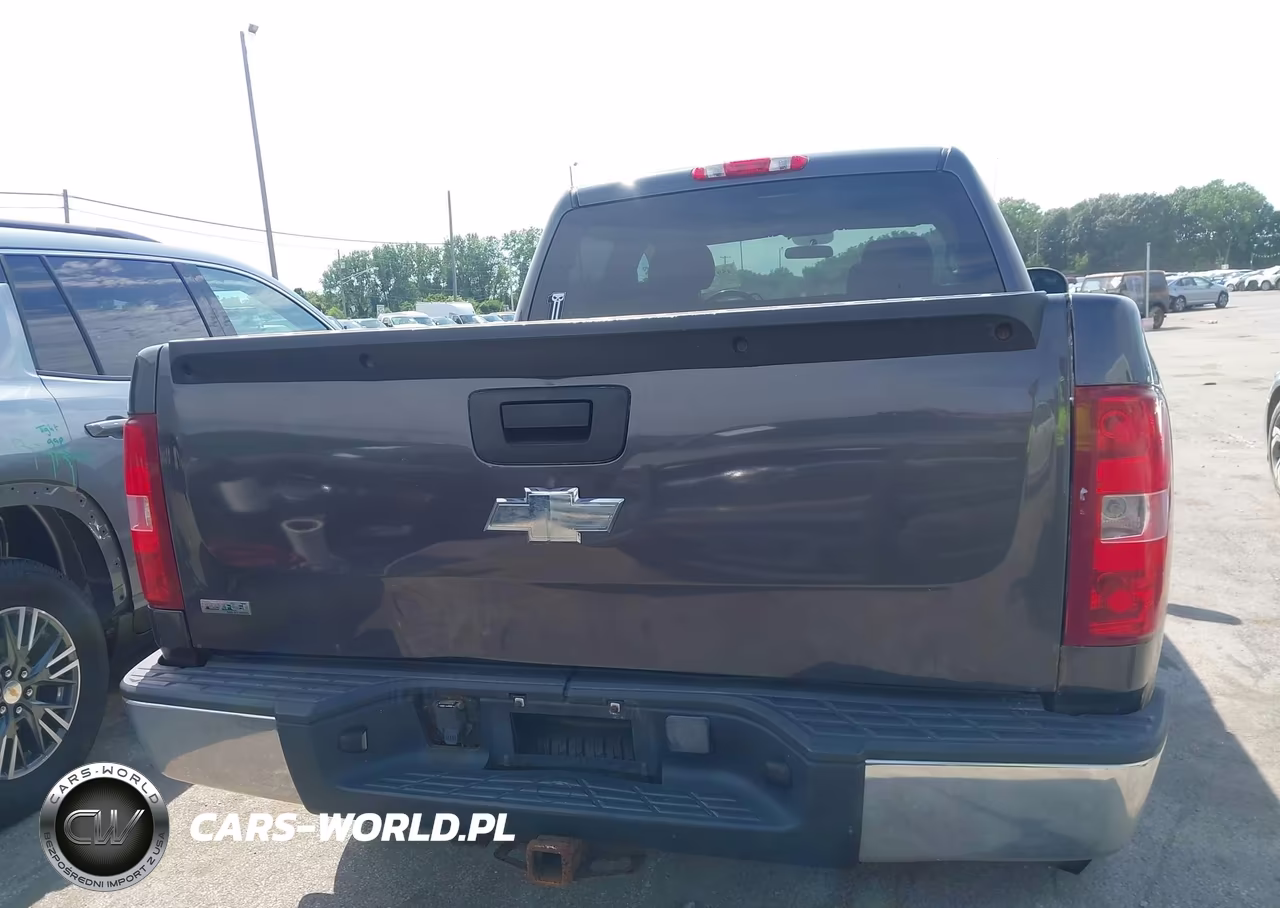 2010 Chevrolet Silverado 1500 Lt VIN:3GCRKSEA8AG127378 - 16