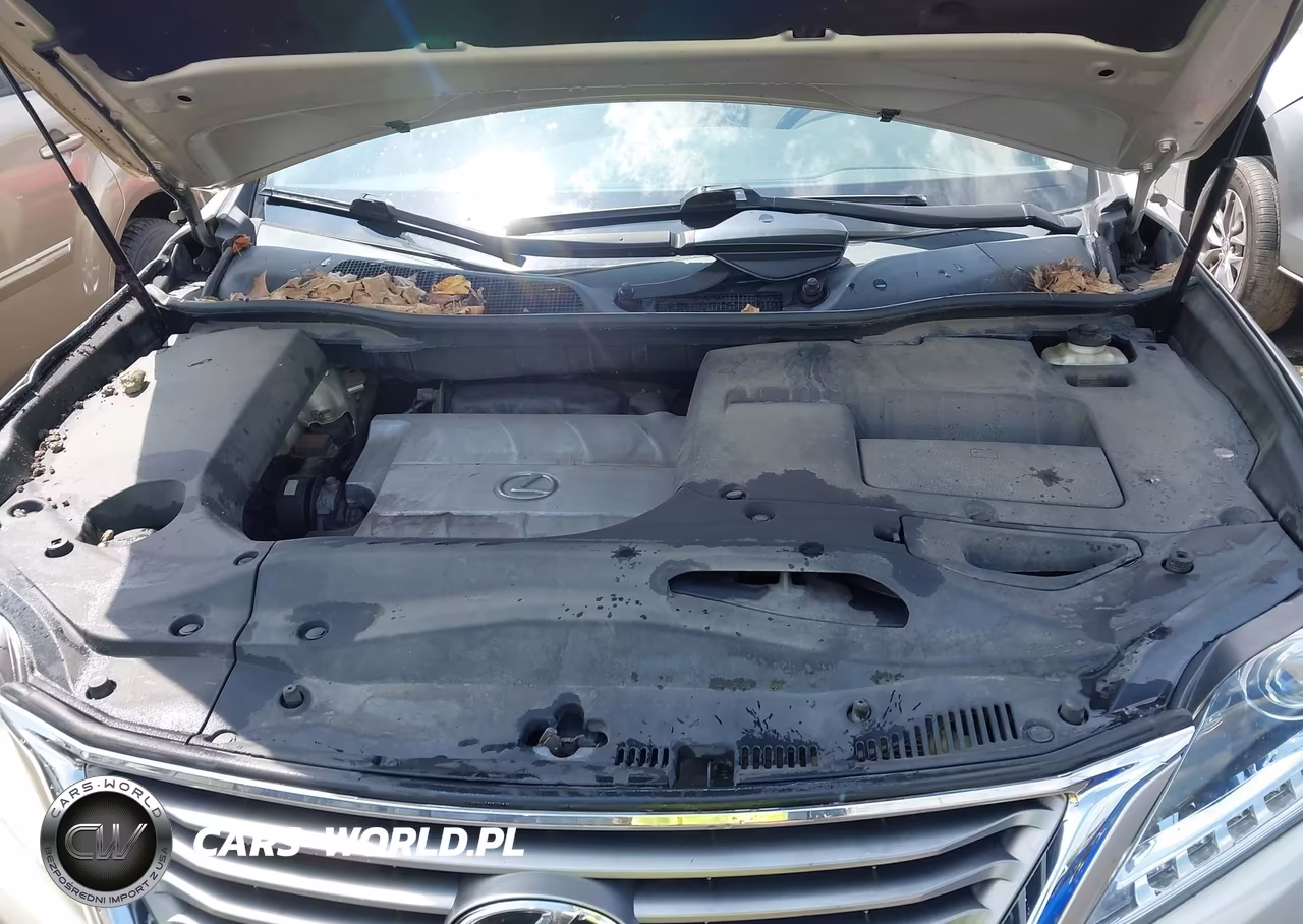 2015 Lexus Rx 350 VIN:2T2BK1BA9FC278775 - 10
