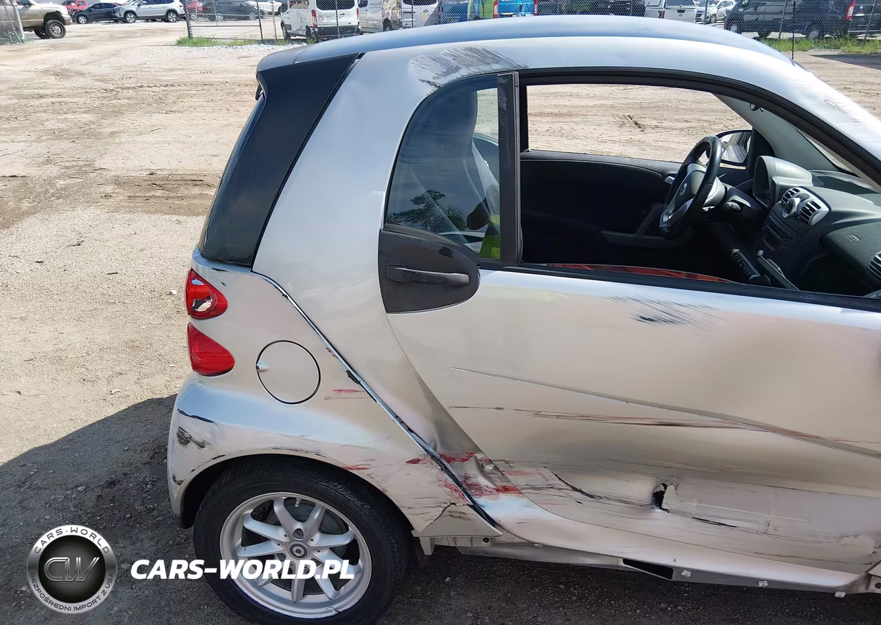 2009 Smart Fortwo Brabus-Passion-Pure VIN:WMEEJ31X49K251994 - 8