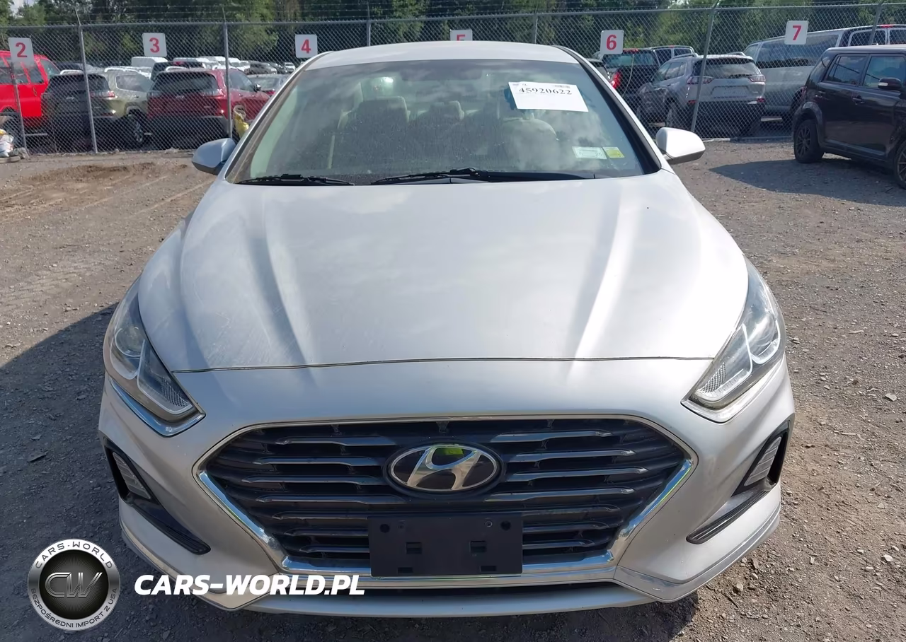 2019 Hyundai Sonata Se VIN:5NPE24AF9KH798370 - 12