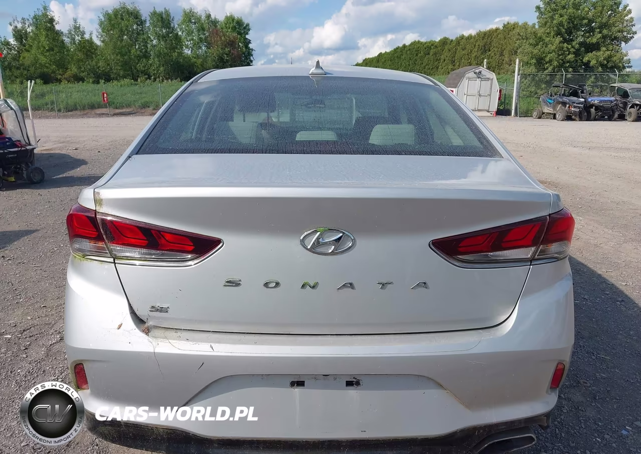 2019 Hyundai Sonata Se VIN:5NPE24AF9KH798370 - 16