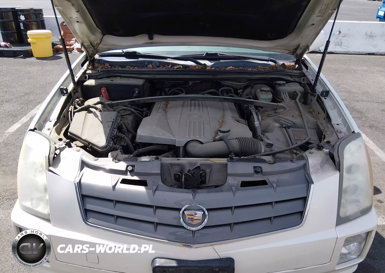 2004 Cadillac Srx V8 VIN:1GYEE63A140172603 - 10