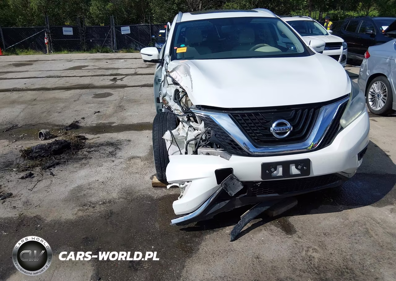 2016 Nissan Murano Platinum VIN:5N1AZ2MH0GN141083 - 18