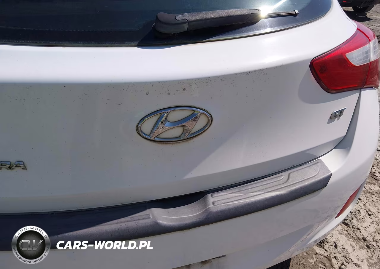 2013 Hyundai Elantra Gt VIN:KMHD35LE6DU102961 - 16