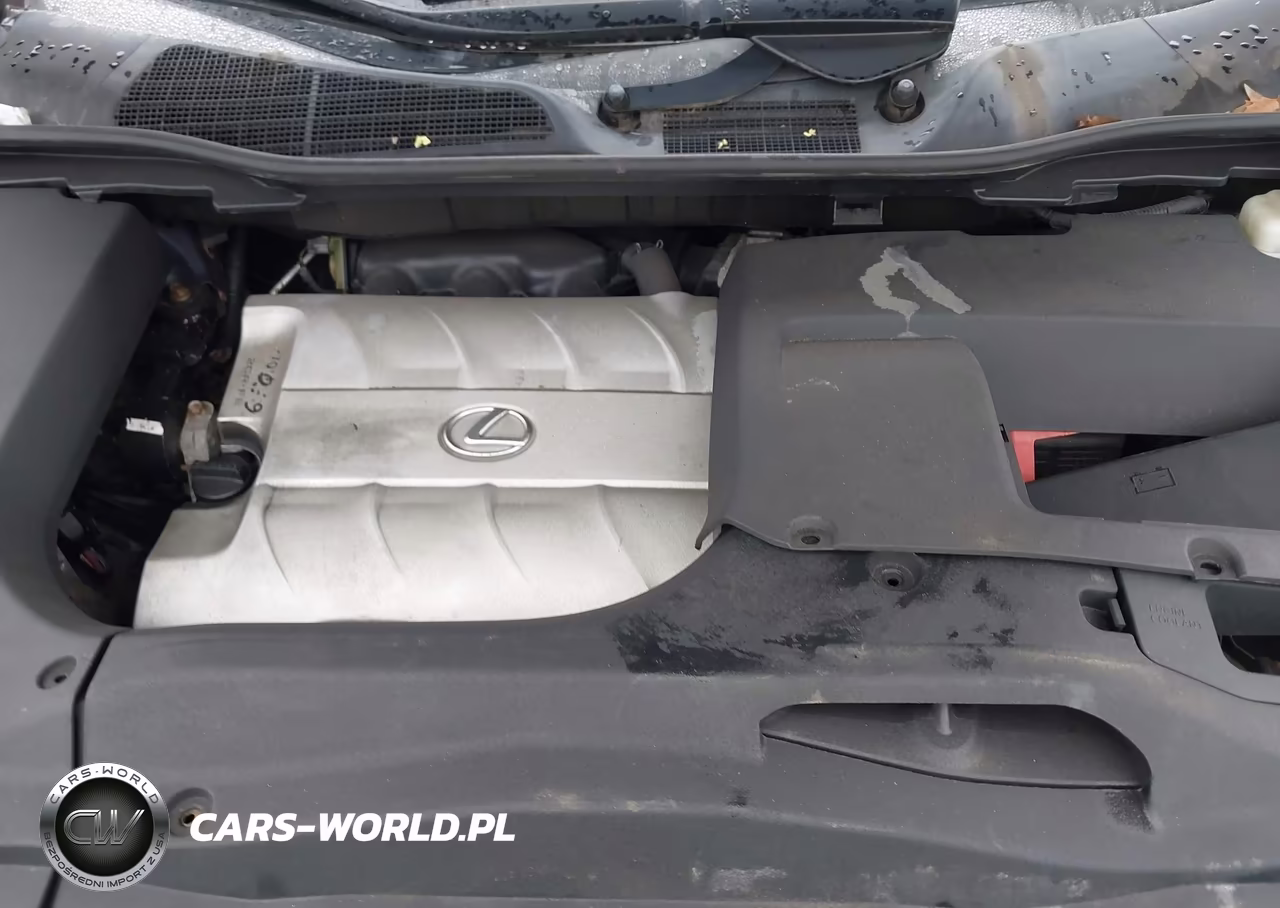 2010 Lexus Rx 350 VIN:2T2BK1BA2AC059469 - 10