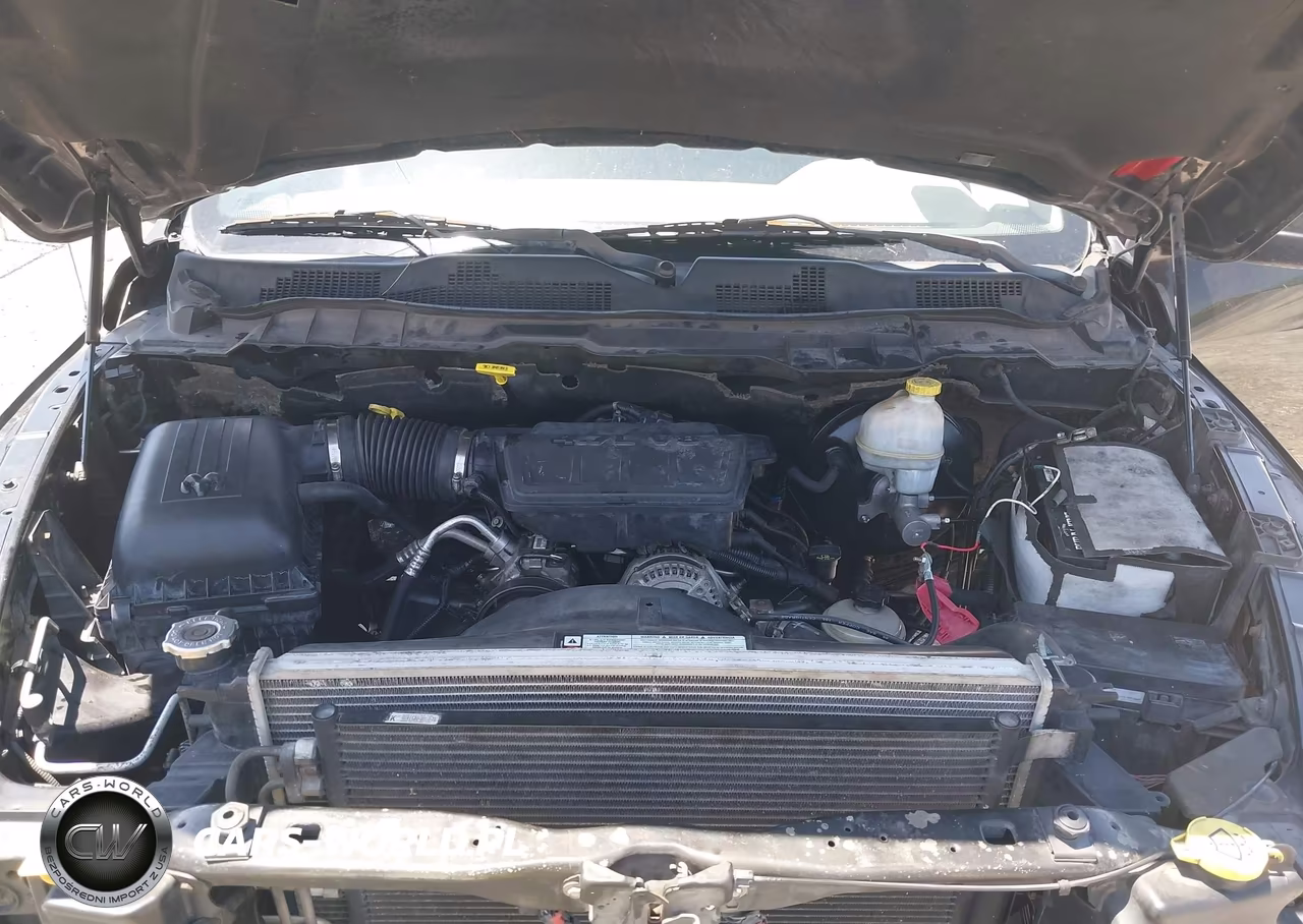 2010 Dodge Ram 1500 Slt-Sport-Trx VIN:1D7RB1GP4AS110491 - 10