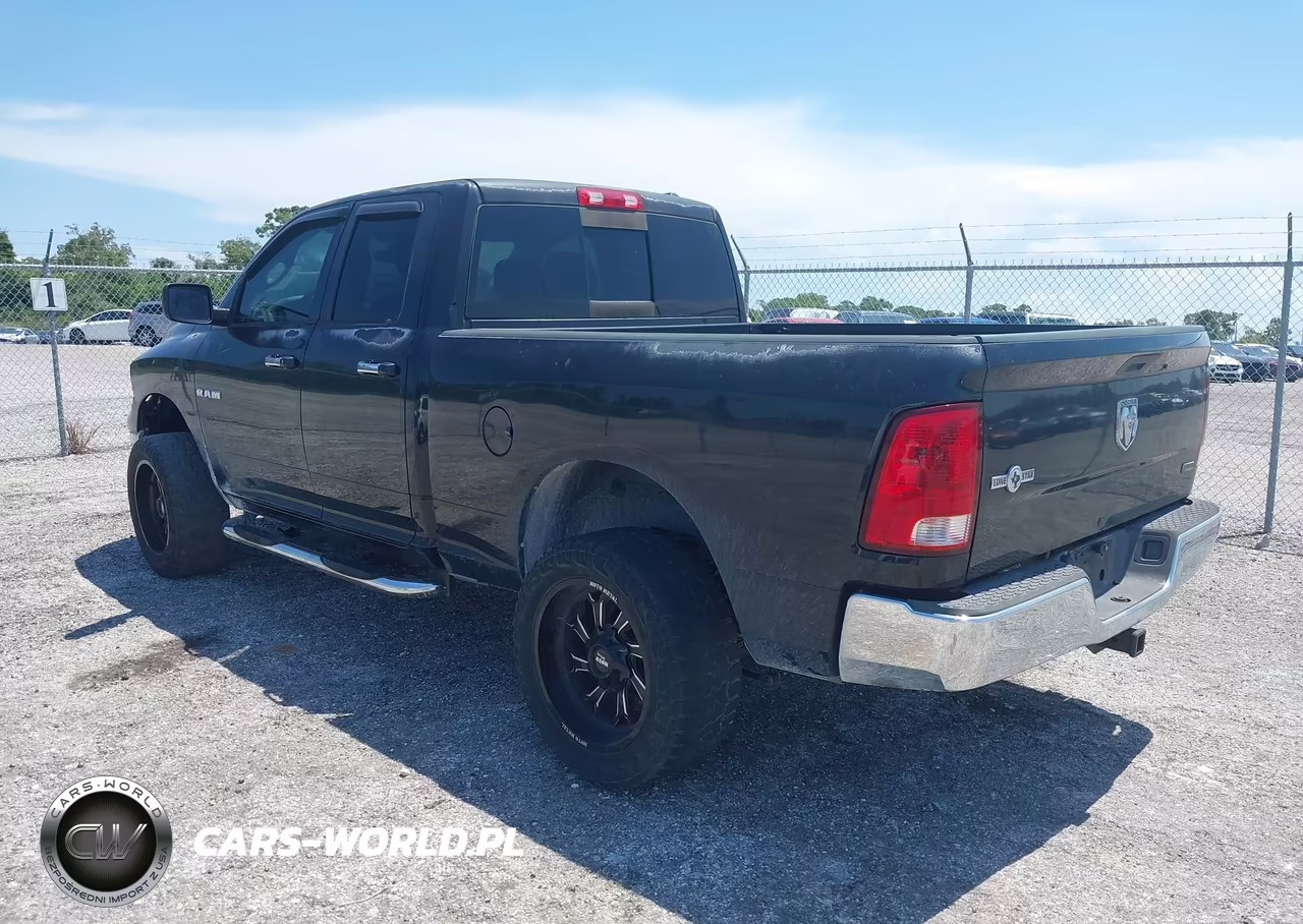 2010 Dodge Ram 1500 Slt-Sport-Trx VIN:1D7RB1GP4AS110491 - 3