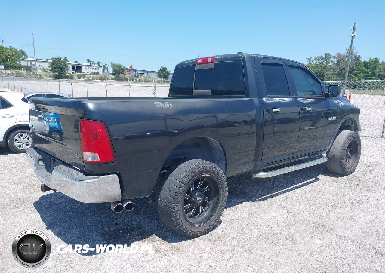 2010 Dodge Ram 1500 Slt-Sport-Trx VIN:1D7RB1GP4AS110491 - 4