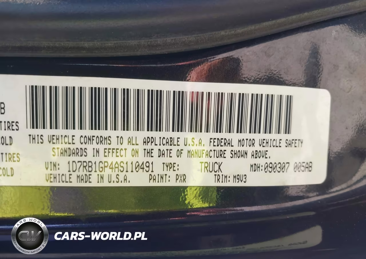 2010 Dodge Ram 1500 Slt-Sport-Trx VIN:1D7RB1GP4AS110491 - 9
