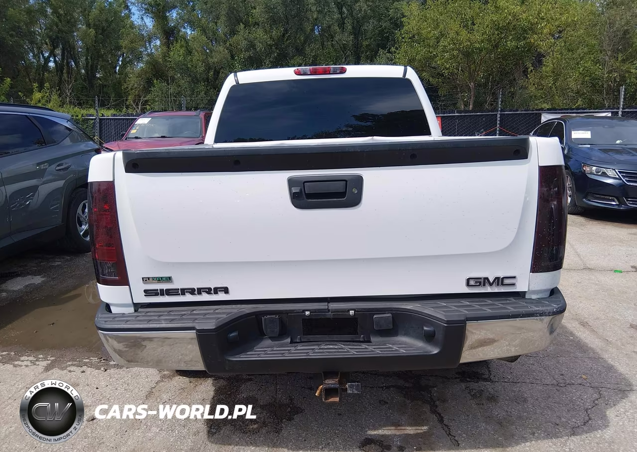 2010 GMC Sierra 1500 Sl VIN:3GTRKUEA4AG223648 - 17