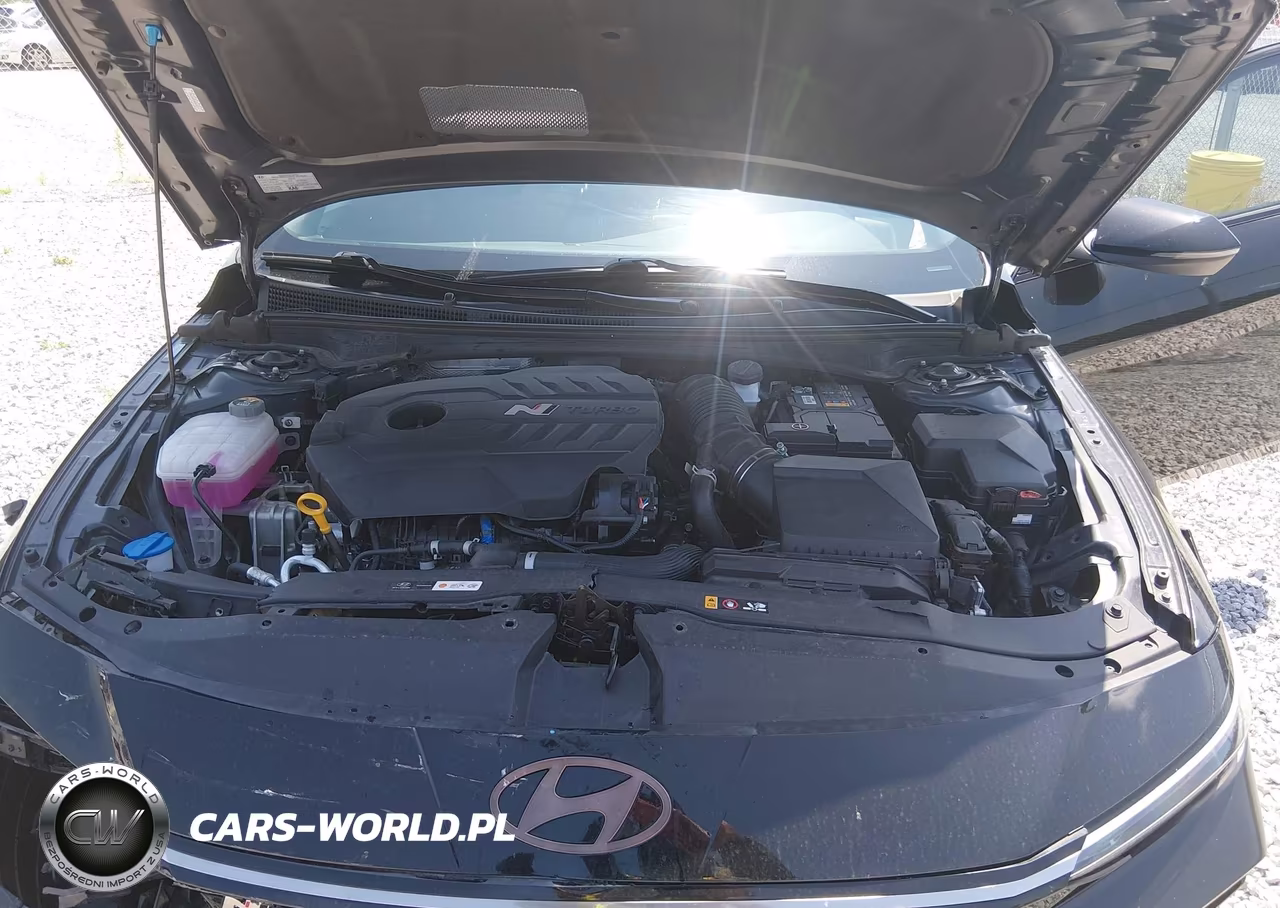2024 Hyundai Elantra N VIN:KMHLW4DK2RU022615 - 10