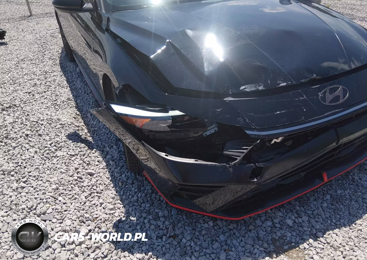 2024 Hyundai Elantra N VIN:KMHLW4DK2RU022615 - 6