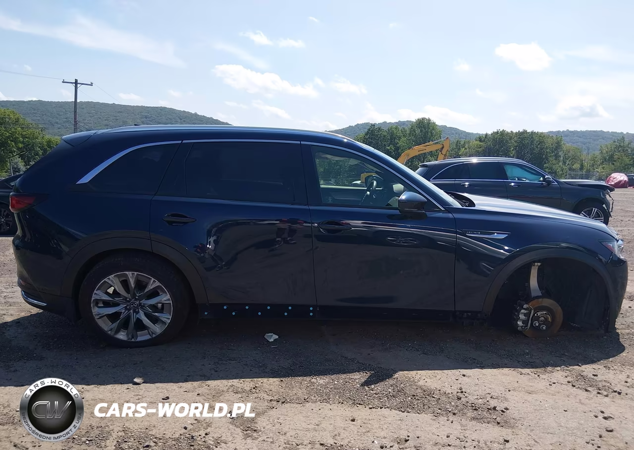 2025 Mazda Cx-90 3.3 Turbo Premium Plus Package VIN:JM3KKEHD1S1242078 - 13