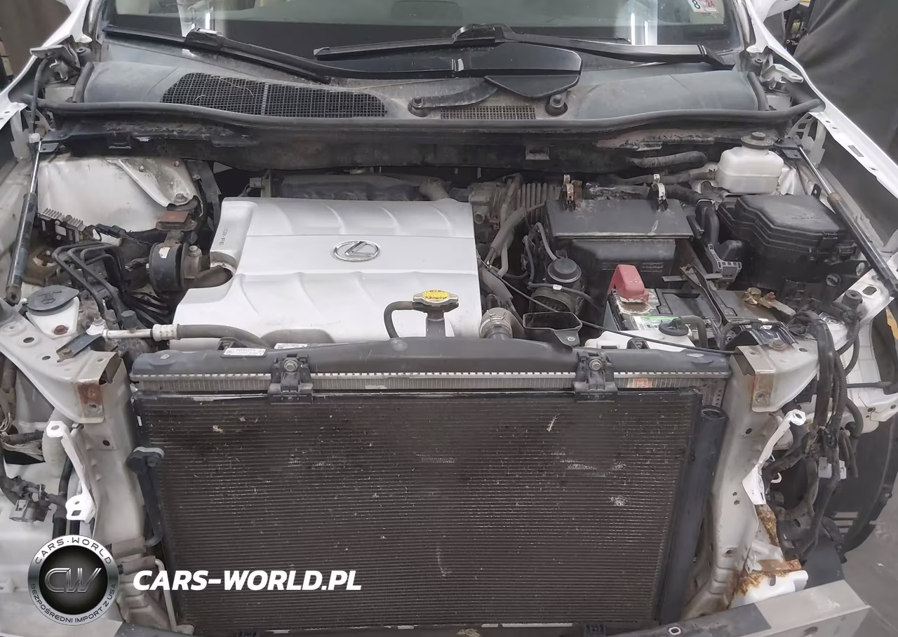 2010 Lexus Rx 350 VIN:2T2BK1BA8AC035094 - 10