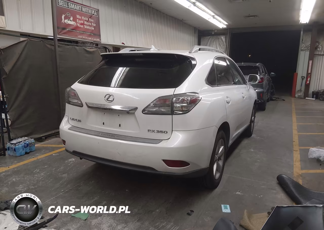 2010 Lexus Rx 350 VIN:2T2BK1BA8AC035094 - 4