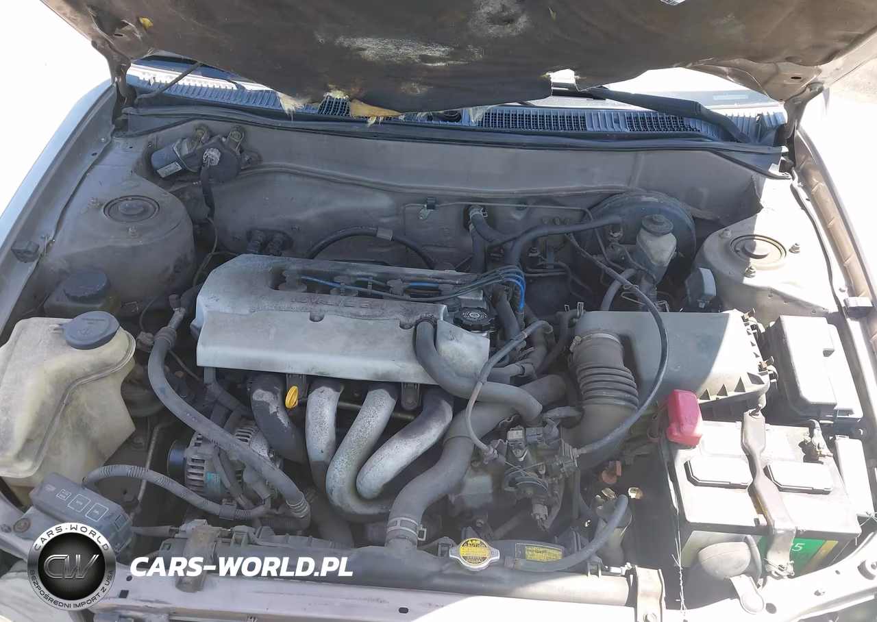1998 Toyota Corolla Ce VIN:1NXBR12E7WZ067690 - 10