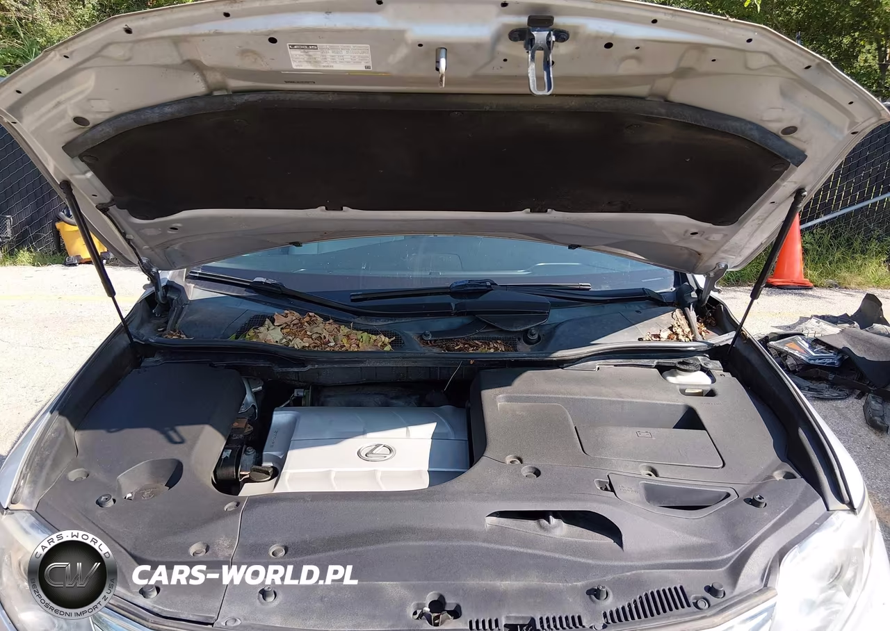 2010 Lexus Rx 350 VIN:2T2BK1BA2AC070987 - 10
