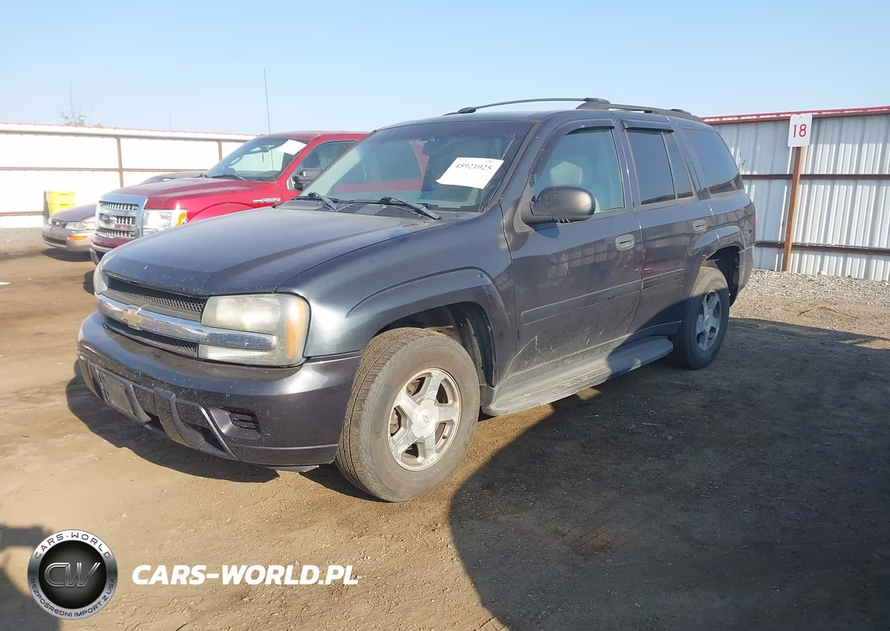 2006 Chevrolet Trailblazer Ls VIN:1GNDT13S862313135 - 2