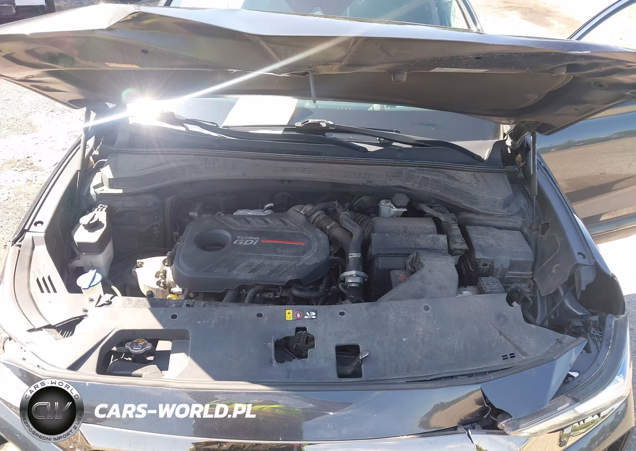 2020 Hyundai Santa Fe Limited 2.0T VIN:5NMS5CAAXLH288214 - 10