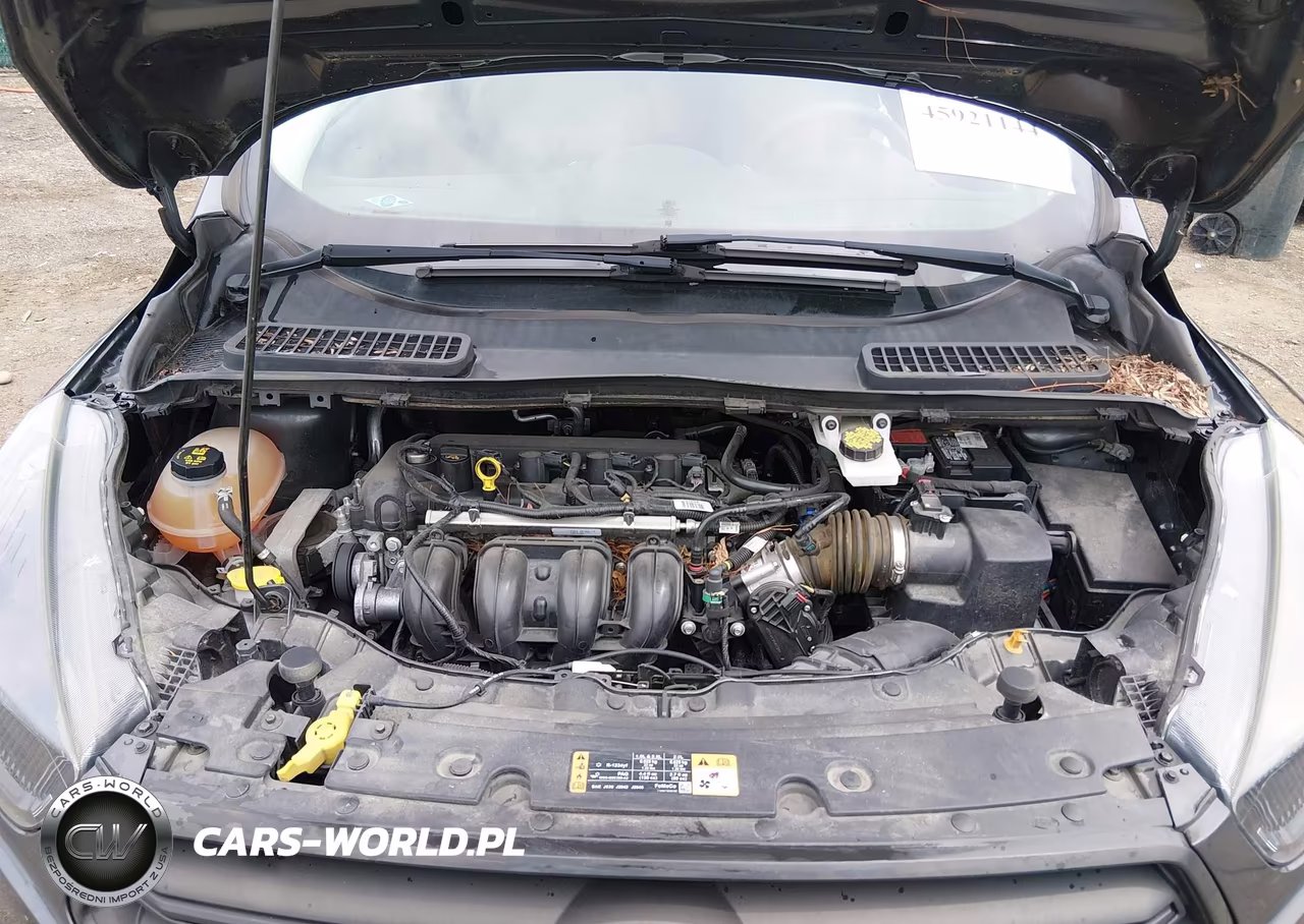 2019 Ford Escape S VIN:1FMCU0F77KUA76649 - 10
